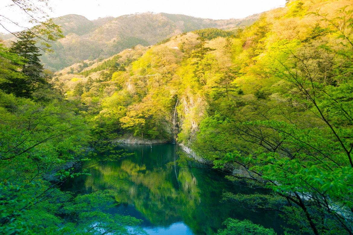 Huangbai Mountain National Forest Park